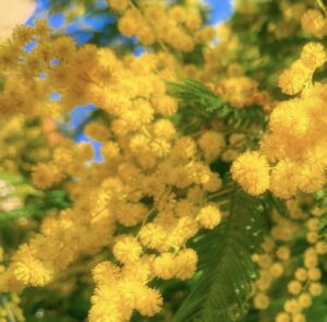 8 marzo – Il prezzo della cronaca: minacce alle giornaliste